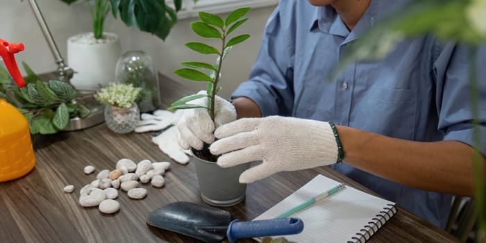 A dedicated individual carefully pots a young plant, illustrating the hands-on approach of sustainable gardening practices.