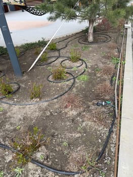 Landscaping and Gardening Industry. Modern Garden Irrigation System Providing Water Supply Pipeline Between Plants