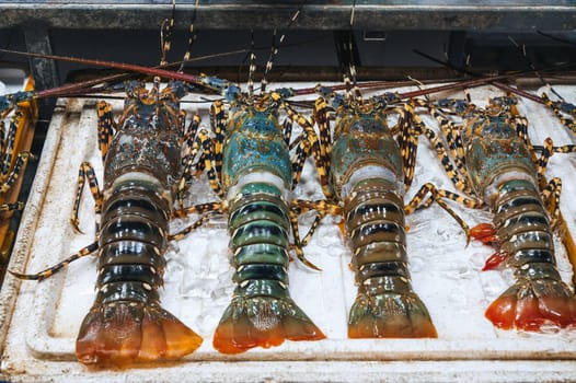 live fresh lobsters on the counter at the Asian night market in Vietnam in Asia