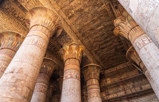 A low angle shot inside Esna Temple, showcasing the massive columns adorned with intricate carvings and hieroglyphs under an equally decorated ceiling