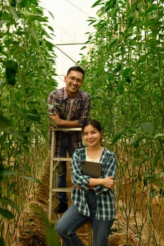 Male and female farmers pose among growing bell peppers.