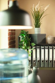 Closeup of office cabinet with well arranged compartment containing folders and plant decorations. Bright room interior having organized bookshelf, plants and water dispenser, ideal for company use.