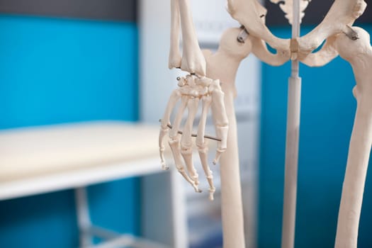 Closeup of hand skeleton placed in empty clinic office with hospital cabinet and bed in background for osteopathic examination. Detailed shot of palmar skeletal structure of human body in medical room