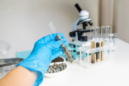 Soil testing in the laboratory. Selective focus. Nature.