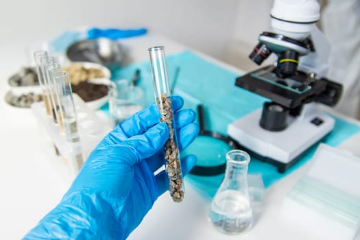 Soil testing in the laboratory. Selective focus. Nature.