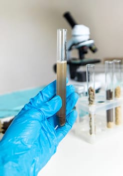 Soil testing in the laboratory. Selective focus. Nature.