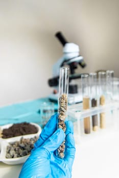 Soil testing in the laboratory. Selective focus. Nature.
