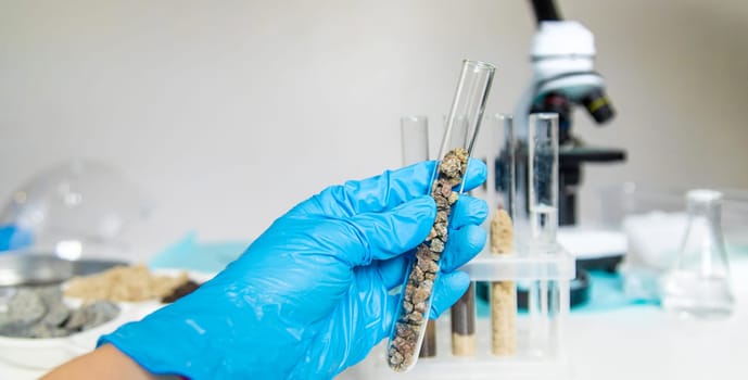 Soil testing in the laboratory. Selective focus. Nature.
