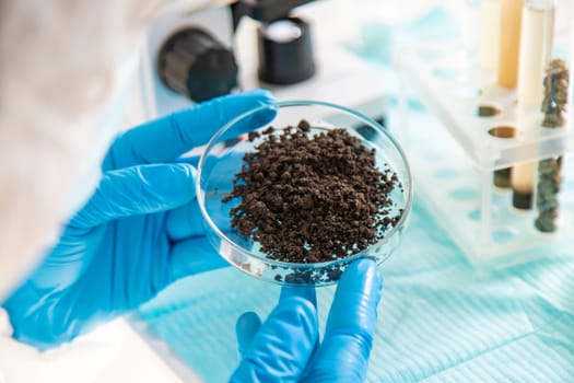 Soil testing in the laboratory. Selective focus. Nature.