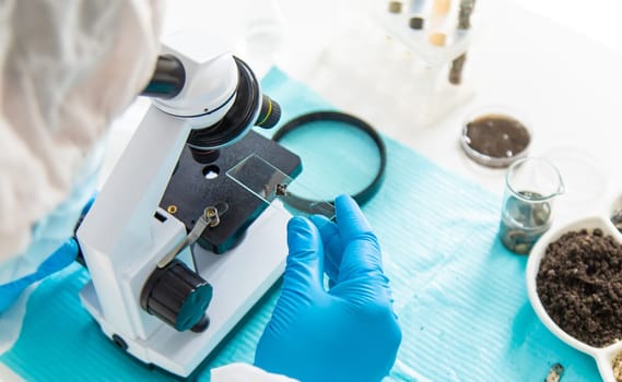 Soil testing in the laboratory. Selective focus. Nature.