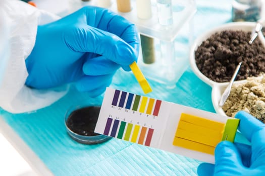 Soil testing in the laboratory. Selective focus. Nature.