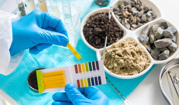 Soil testing in the laboratory. Selective focus. Nature.