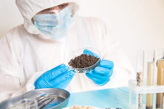 Soil testing in the laboratory. Selective focus. Nature.