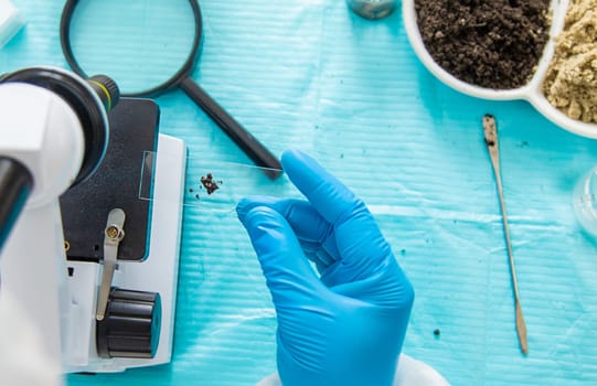 Soil testing in the laboratory. Selective focus. Nature.