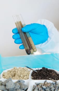 Soil testing in the laboratory. Selective focus. Nature.