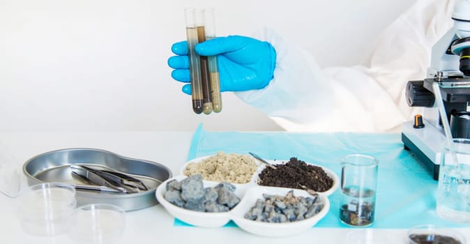 Soil testing in the laboratory. Selective focus. Nature.