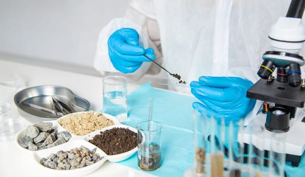 Soil testing in the laboratory. Selective focus. Nature.