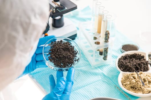 Soil testing in the laboratory. Selective focus. Nature.