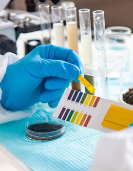 Soil testing in the laboratory. Selective focus. Nature.