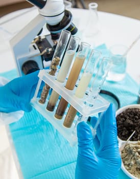 Soil testing in the laboratory. Selective focus. Nature.