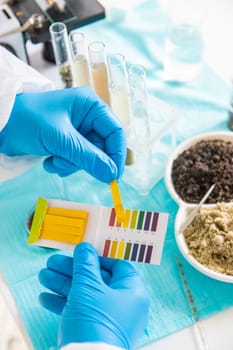 Soil testing in the laboratory. Selective focus. Nature.