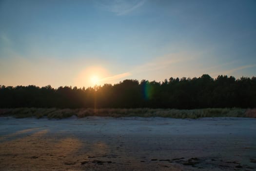 View of the dunes on the island of Usedom with forest, from the Baltic Sea at sunset. Dune grass and white sand. Nature photo