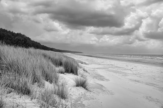 View over the dunes on the island of Usedom to the Baltic Sea in black and white. Dune grass and white sand. Nature photo