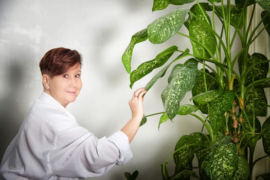 A middle-aged blonde woman connects with her vibrant houseplant in a warm, inviting room.