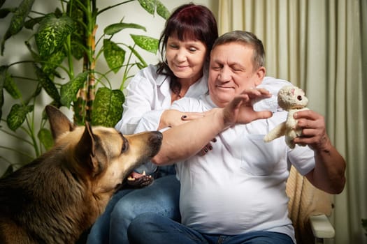 A middle-aged couple shares a joyful moment with their German shepherd indoors, surrounded by the warmth of their home and love.