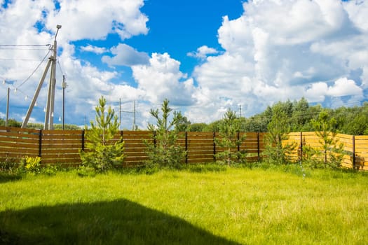 Fenced backyard with green grass and small pines under cloudy sky. Private outdoor space and peaceful suburban natural environment.