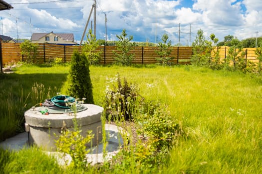 Backyard garden with pine trees and bushes near wooden fence. Private outdoor greenery and home landscaping in suburban environment