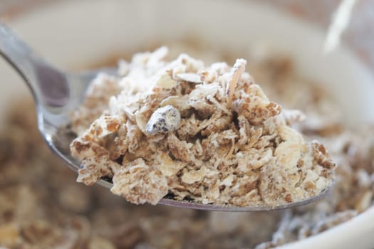 A close-up of a spoon filled with whole grain cereal ready for breakfast.