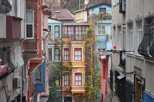 Buildings with bright colors and vines create a charming atmosphere in the city.