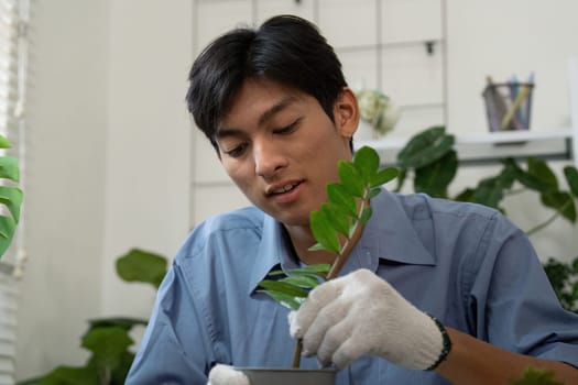 With focused intent, a person plants a young plant in a pot, employing eco-friendly gardening practices that highlight the connection to nature and environmental stewardship.