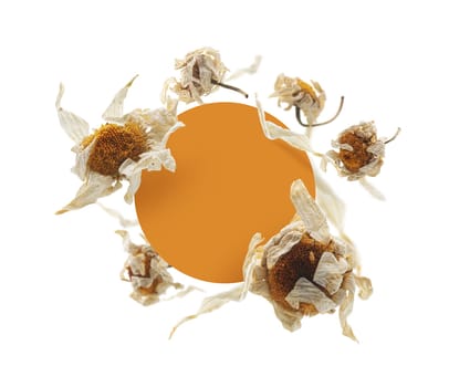 Dried chamomiles. The template for packaging.