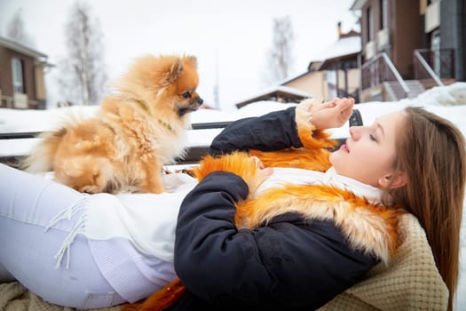 A small Pomeranian dog playfully interacts with its owner outdoors in a snowy environment during winter.