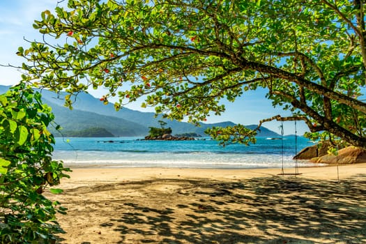 Swing hanging from a tree on the remote and deserted Bonete beach on the island of Ilhabela on the north coast of Sao Paulo