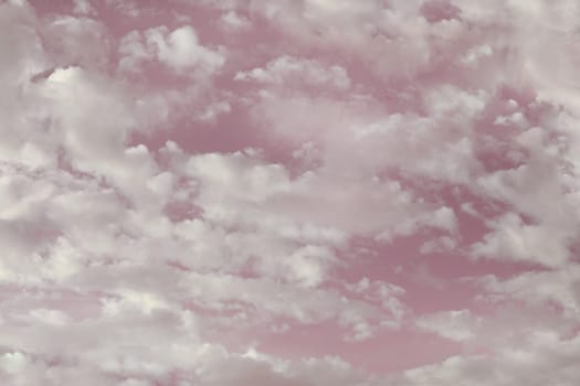 Romantic soft sky with pink and white clouds