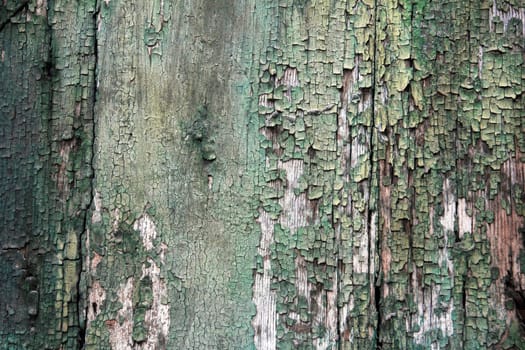 Background from an old wooden board with peeling green paint