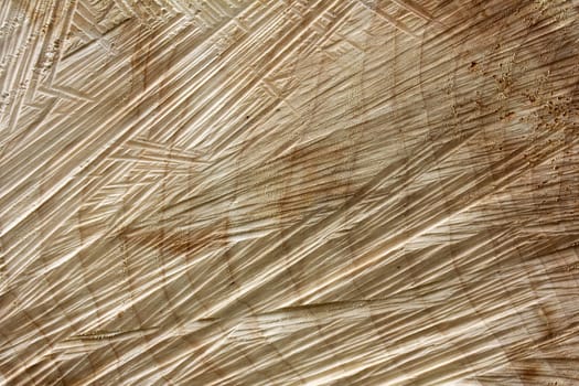 Wooden background from a sawn-off tree trunk
