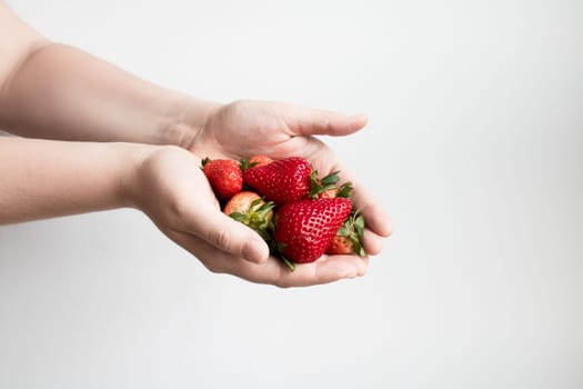 Female hands holding fresh red strawberries against light background.