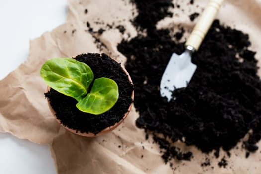 Young seedling in pot with soil and gardening trowel on brown paper.