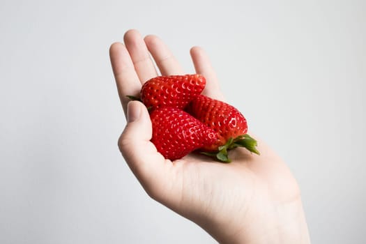 Close up of fresh strawberries held in a caucasian female hand against white background.