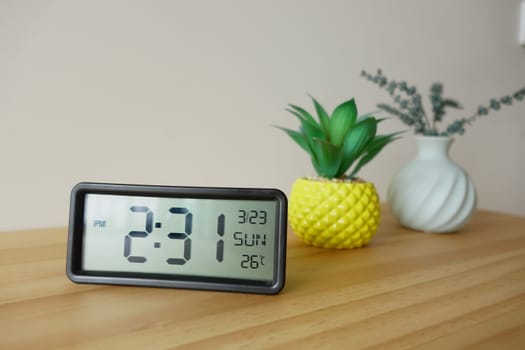 The clock shows time and temperature surrounded by small plants indoors.