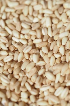 Close-up view of scattered sesame seeds ready for cooking and baking.