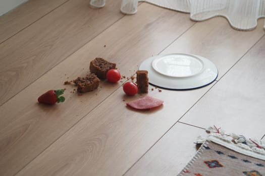 cake and plate spilled on a wooden floor .