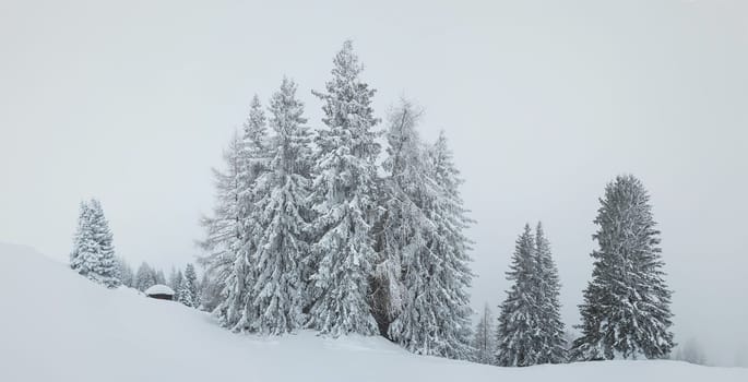 A Beautiful and Magical Austria pictures