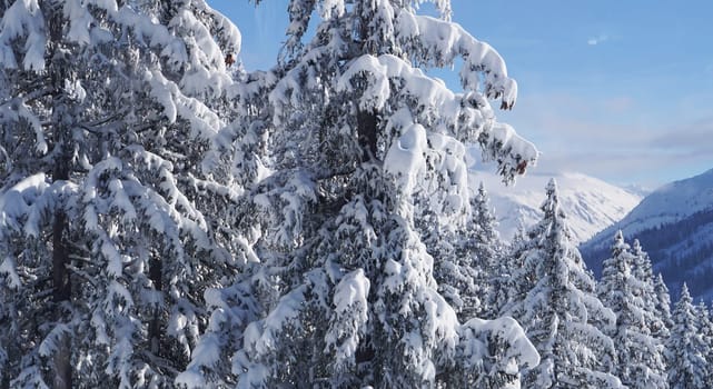 A Beautiful and Magical Austria pictures