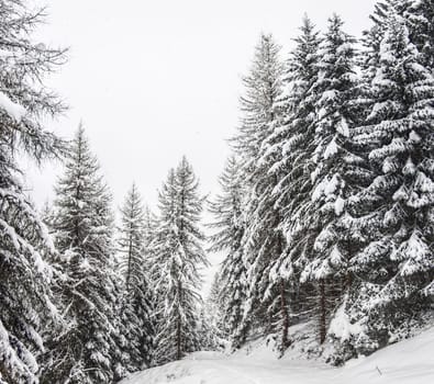 A Creative Austria pictures