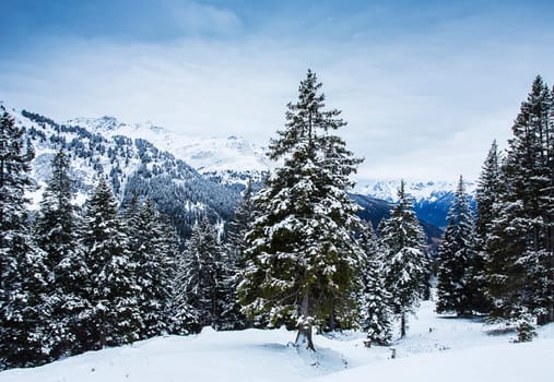 A Creative Austria pictures
